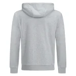 Yelir World Classic Y Logo Hoodie Grey (1)
